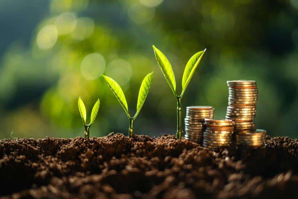 money and tree grow up to saving money concept