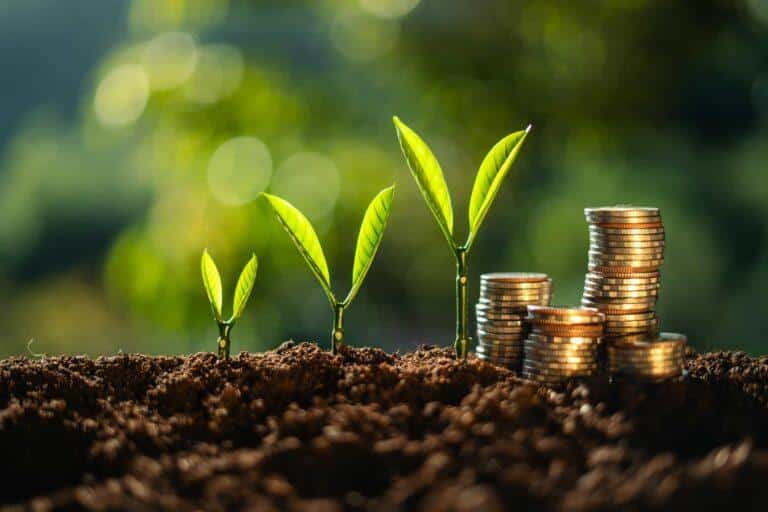 money and tree grow up to saving money concept